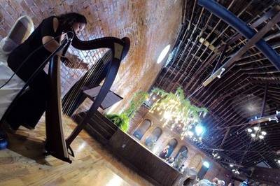 Ellen's Harp Music