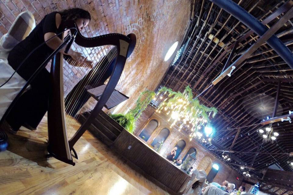 Ellen's Harp Music