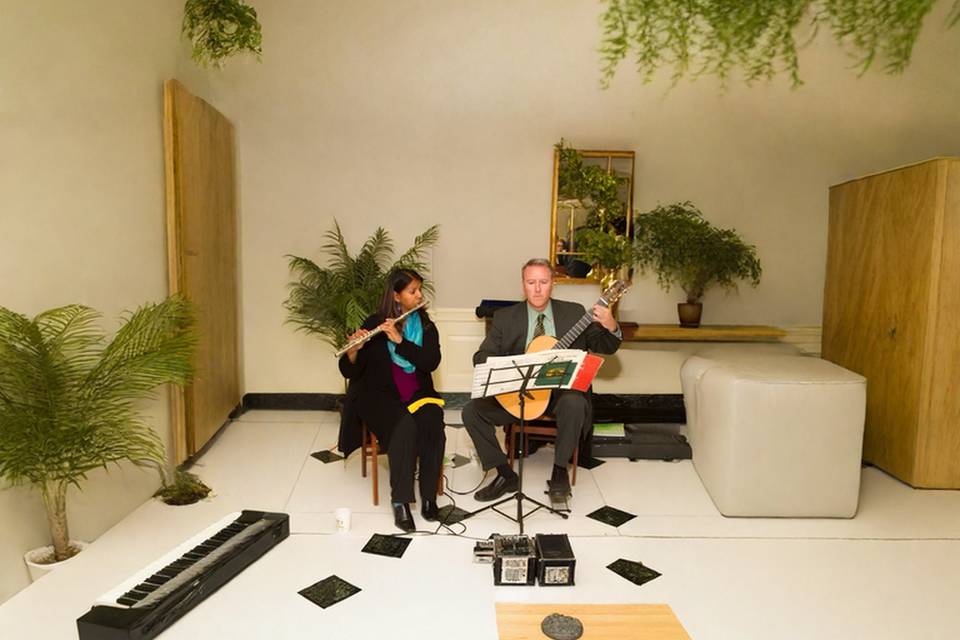 Elegant Indoor Performance