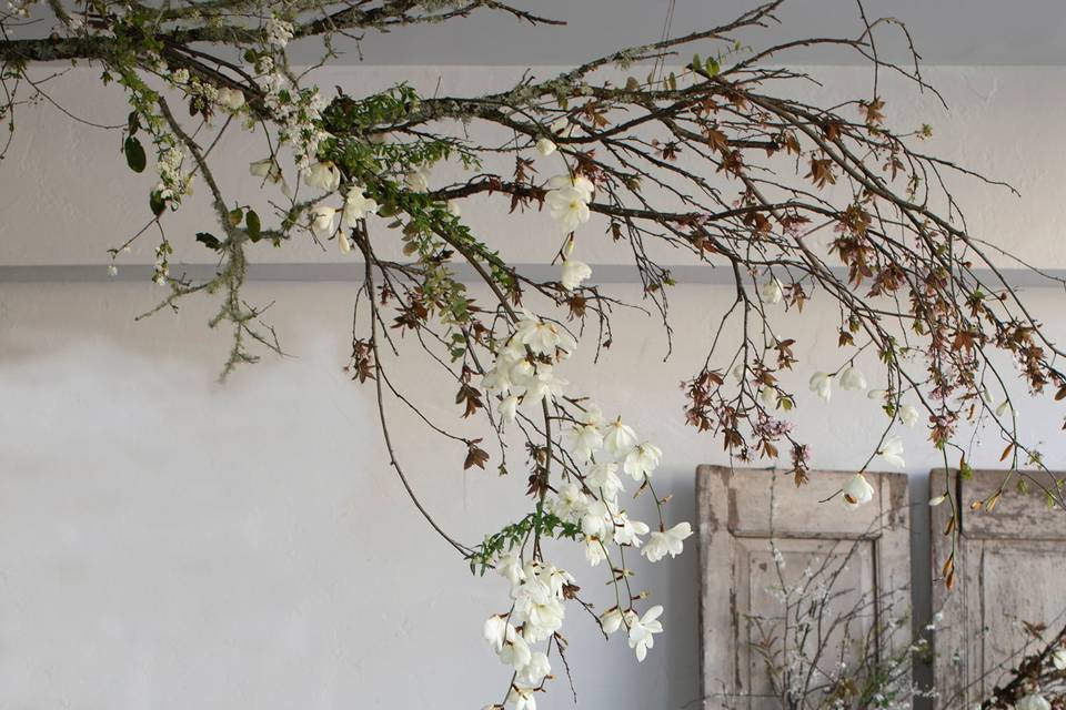 Feminine Branches