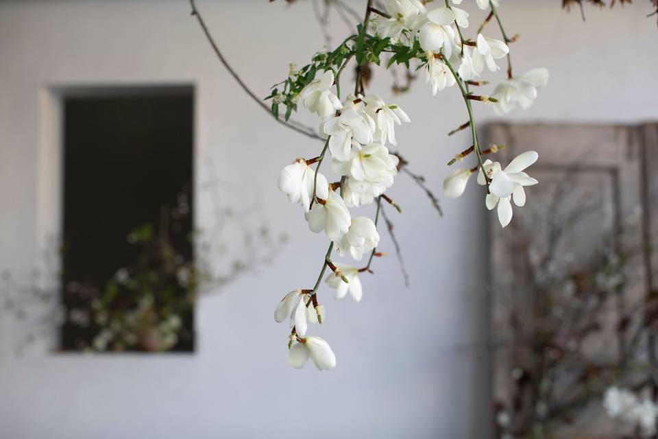 Fine Art Floral