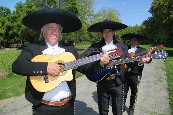 Mariachi Trio Estrellas De Oro