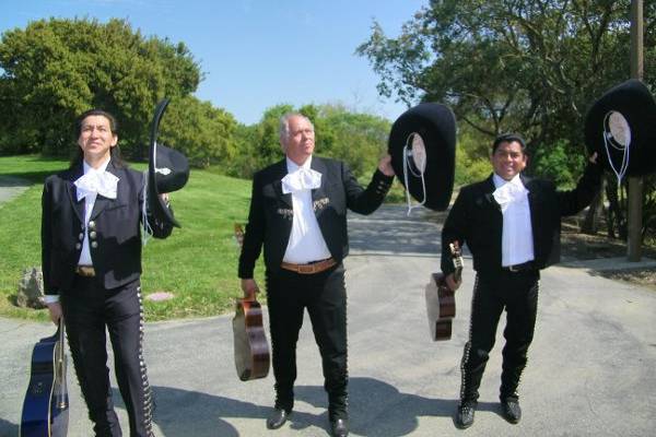 Mariachi Trio Estrellas De Oro