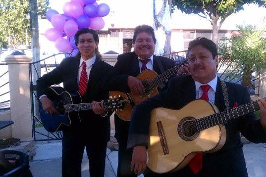 Mariachi Trio Estrellas De Oro