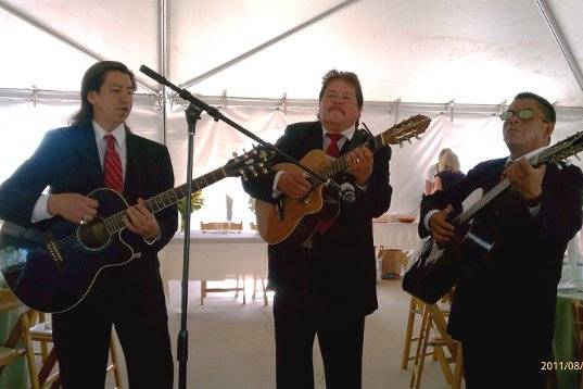 Mariachi Trio Estrellas De Oro