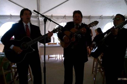 Mariachi Trio Estrellas De Oro