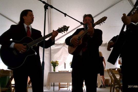 Mariachi Trio Estrellas De Oro