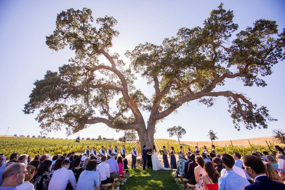 Oak Tree Ceremony