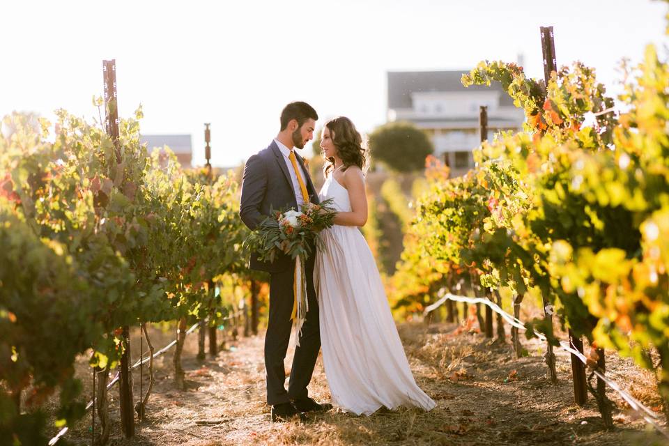 Reception on the lawn