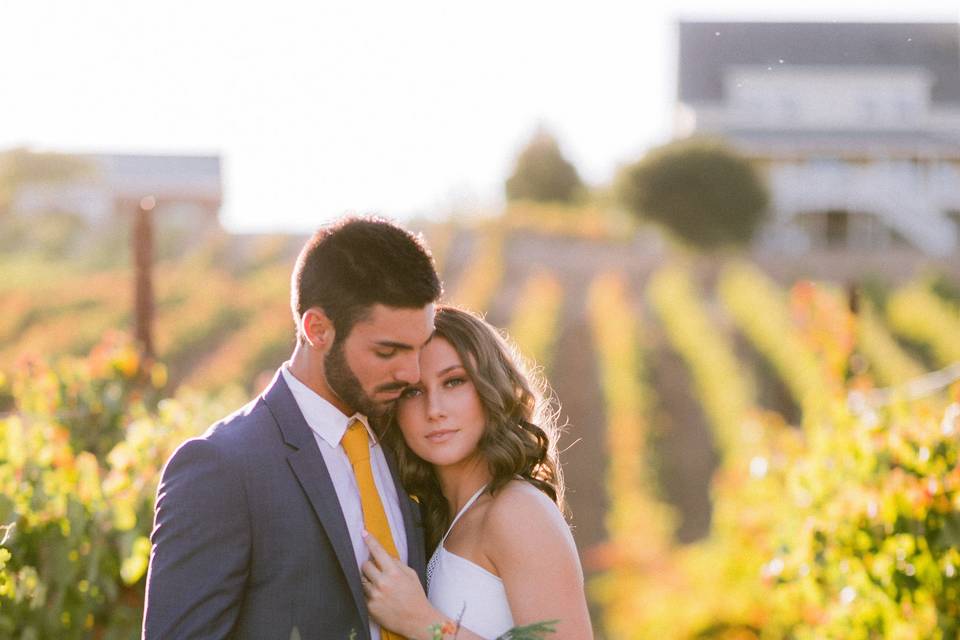 Vineyard with newlyweds