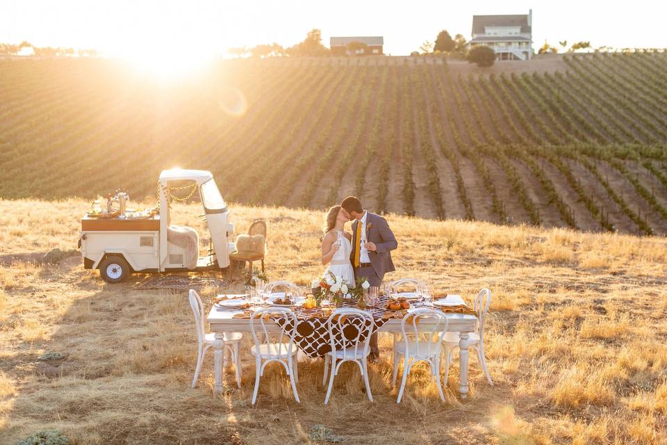 Vineyard aerial