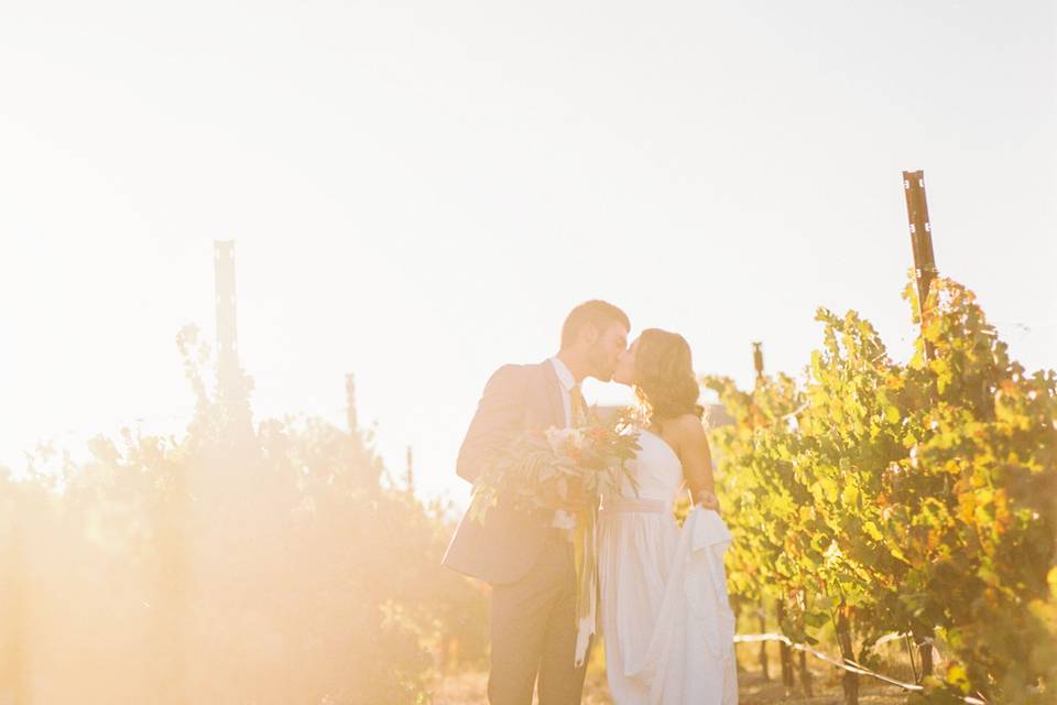 Vineyard with love