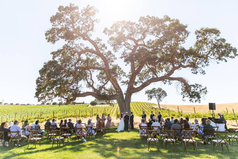 Oak Tree Ceremony