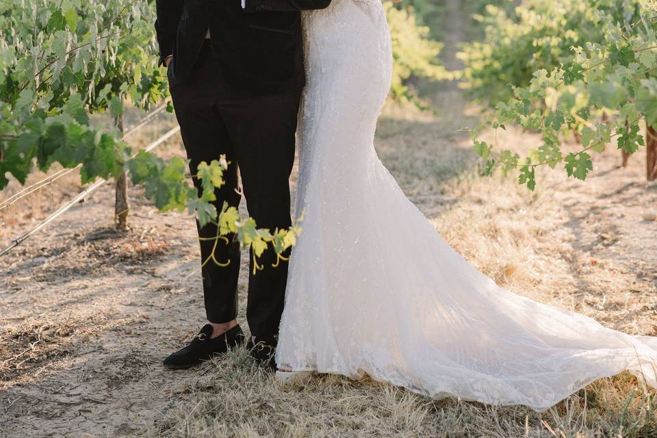 Vineyard