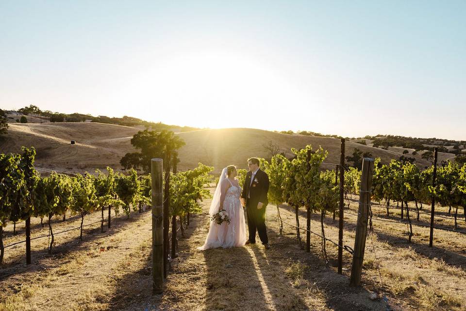 Ella's Vineyard