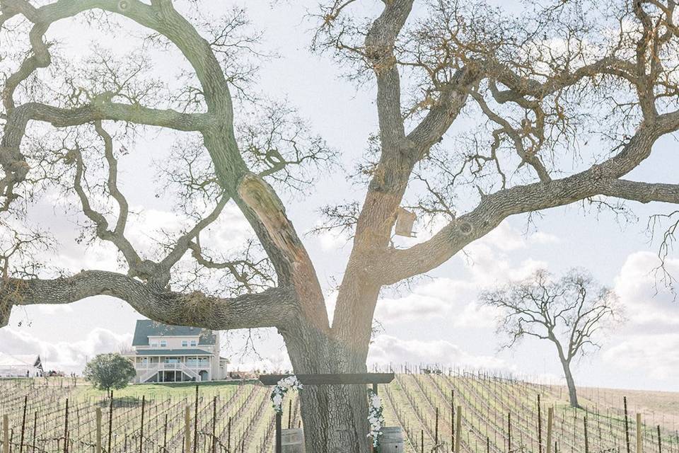 Oak tree ceremony