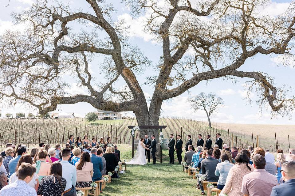 Oak Tree Ceremony