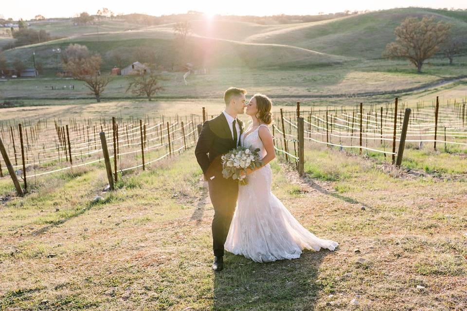 Vineyard