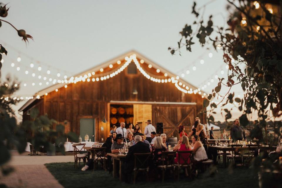 Reception in front of winery