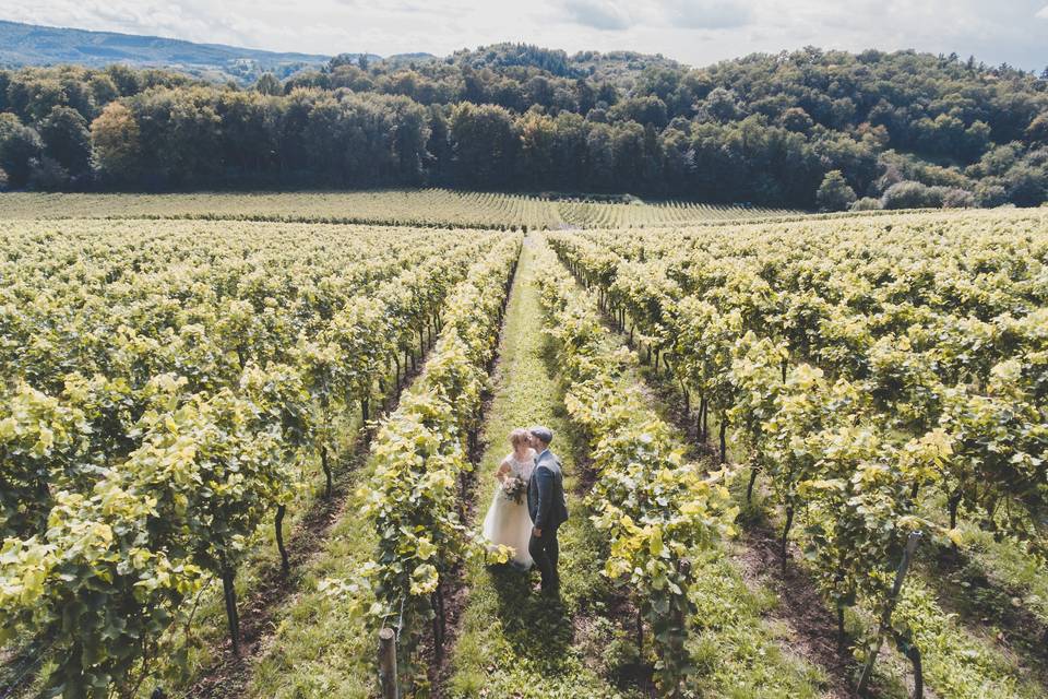 Vineyard wedding