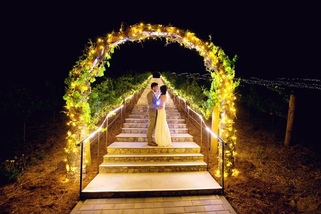 Gina Halferty Photography