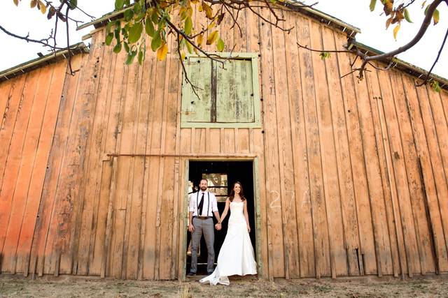 Gina Halferty Photography