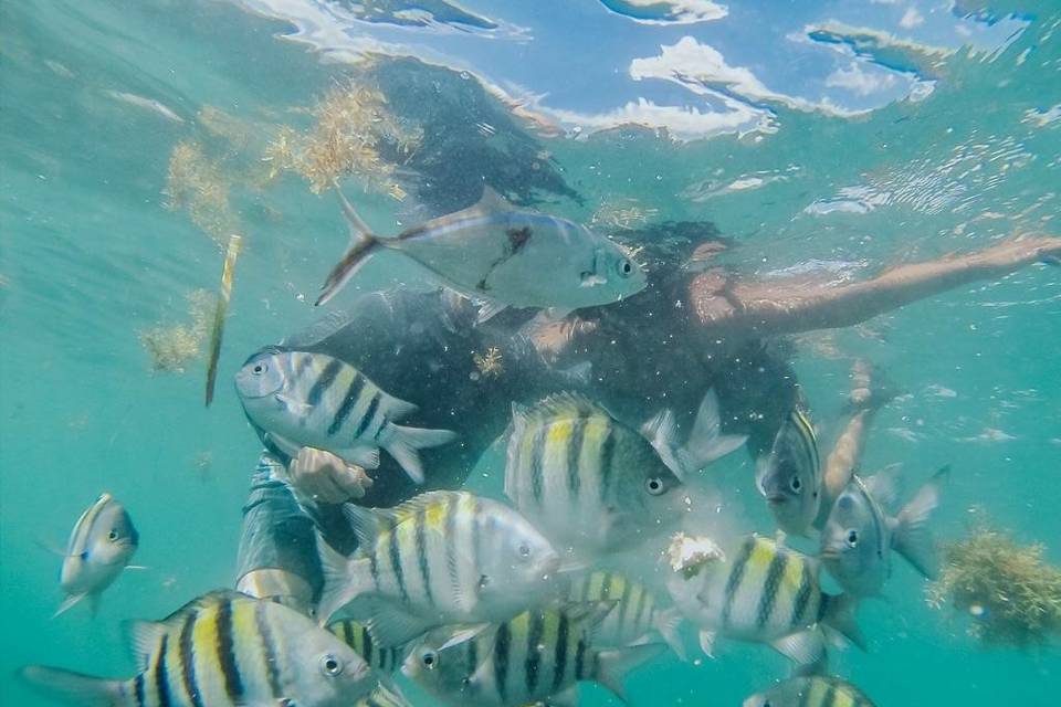 Snorkeling in paradise.