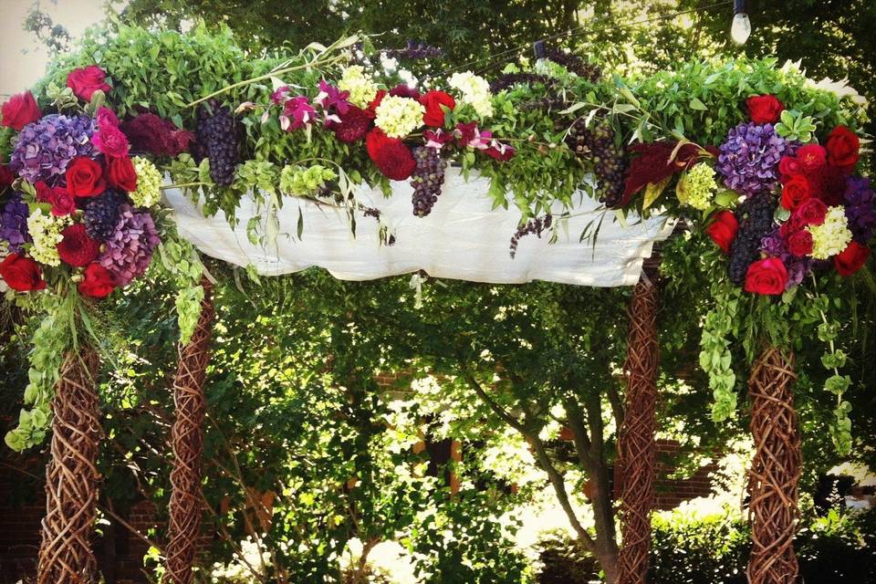 Grapevine entwined chuppah