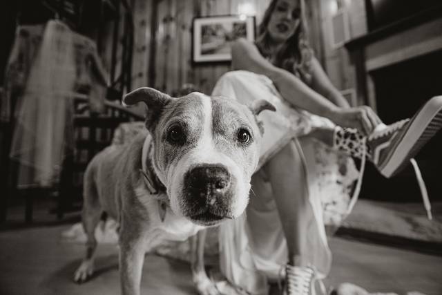 Photo by Chris Arson