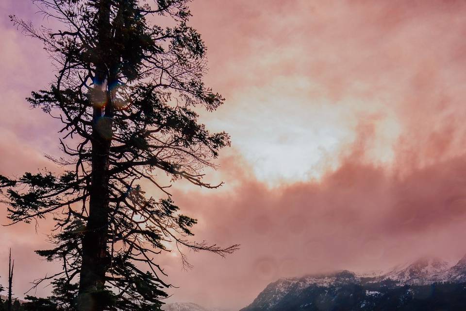 Photo by Chris Arson