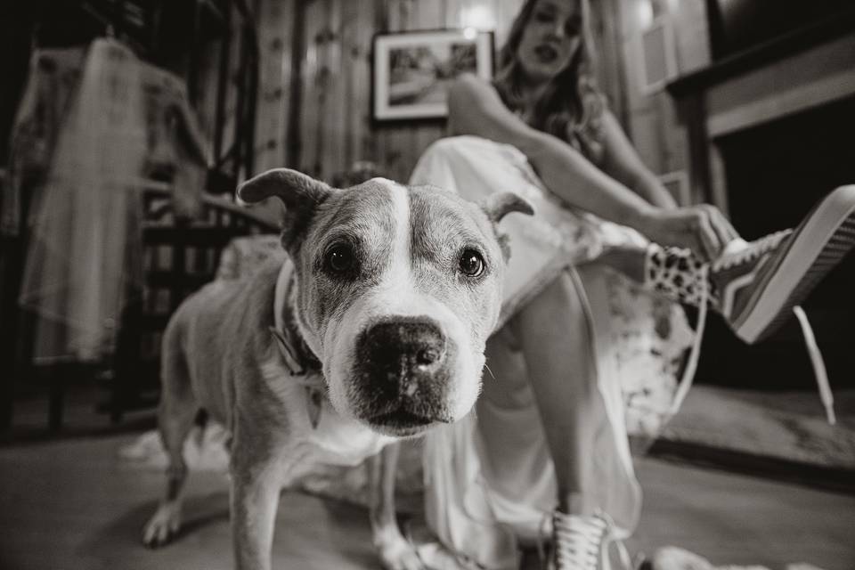 Photo by Chris Arson