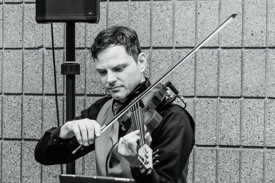 Shawn Boucke - Violinist