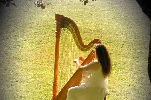 Harpist Janet King
