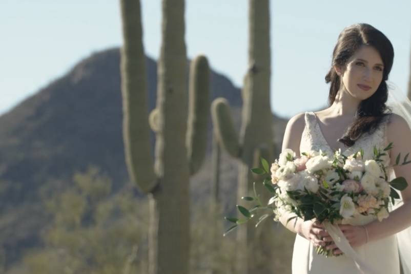 Bride in desert
