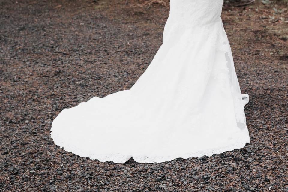 Bride in a forest