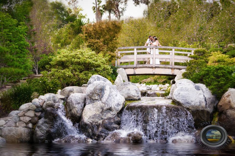 Japanese Friendship Garden, San Diego, CA
Padaon Photography