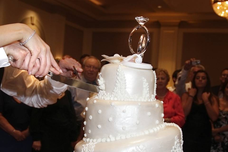 Wedding cake cutting