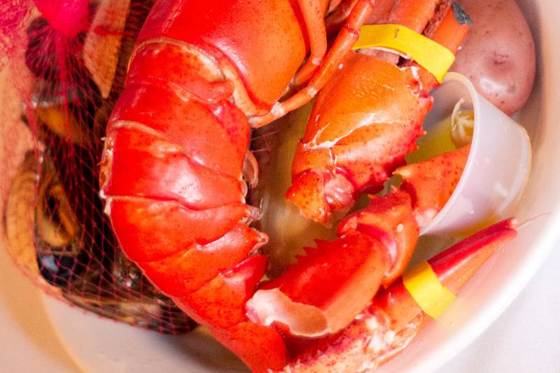 Everyone loves a clambake - wedding catering options for every budget and personal style