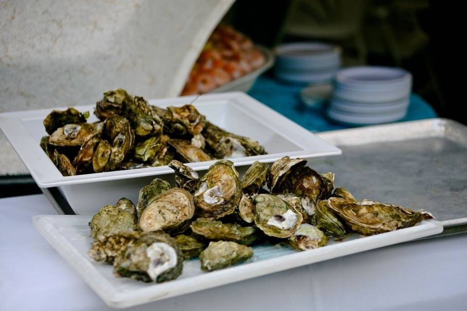 Raw Bar Offerings - - Wedding catering options for every style, budget and diet.