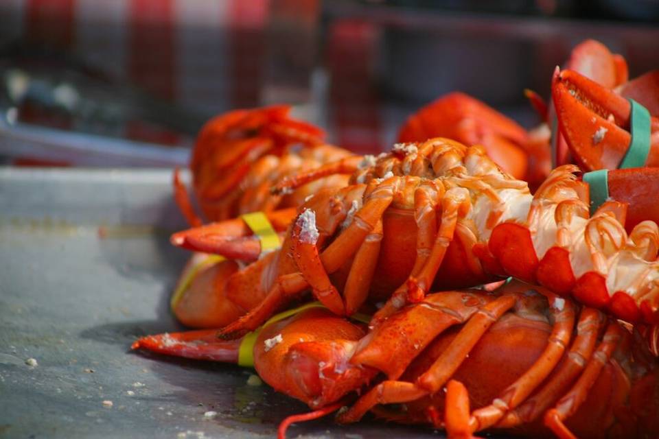 We just can't get enough lobster around here.  Wedding catering options for everyone.