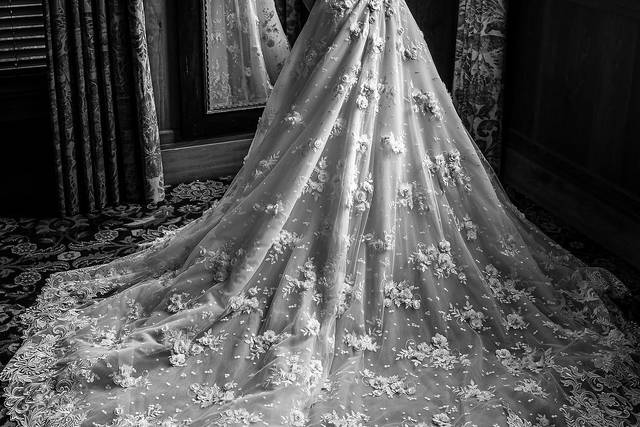 Bridal silhouette