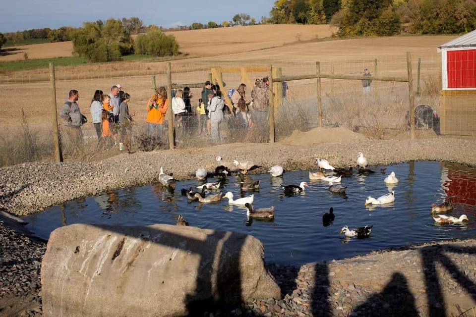 Fisher Farms and Events