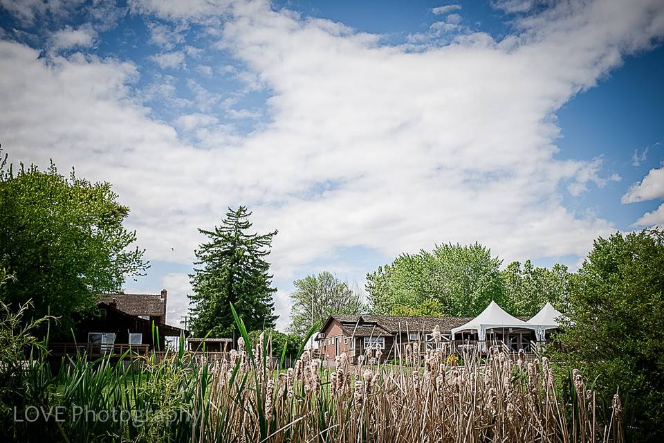 Spring Creek Homestead