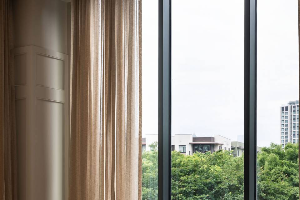 Window