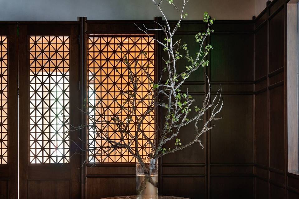 Velvet green interiors