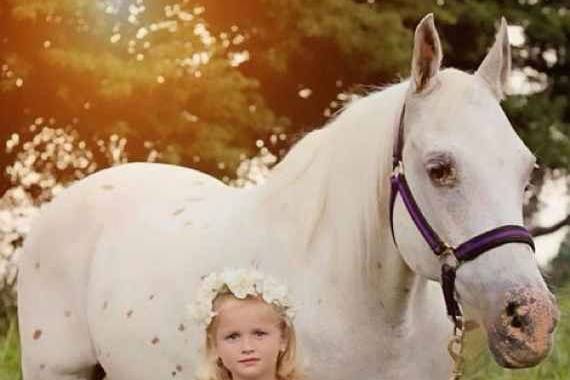 Country Couture & Company