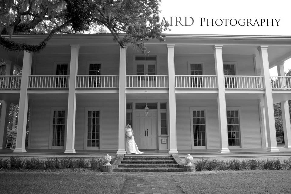 Elizabeth Laird Photography