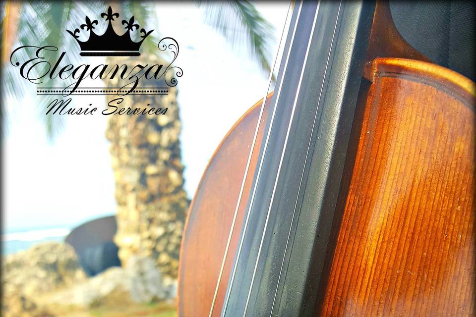 Eleganza Music Services