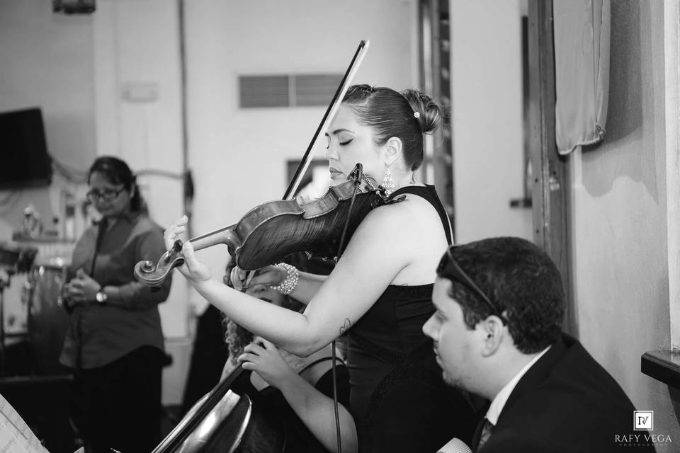 Eleganza string trio