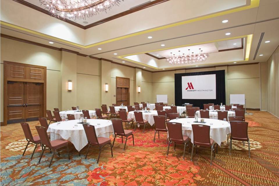 Marriott Ballroom AB - light up for detail of decor and carpets - Denver Marriott Westminster